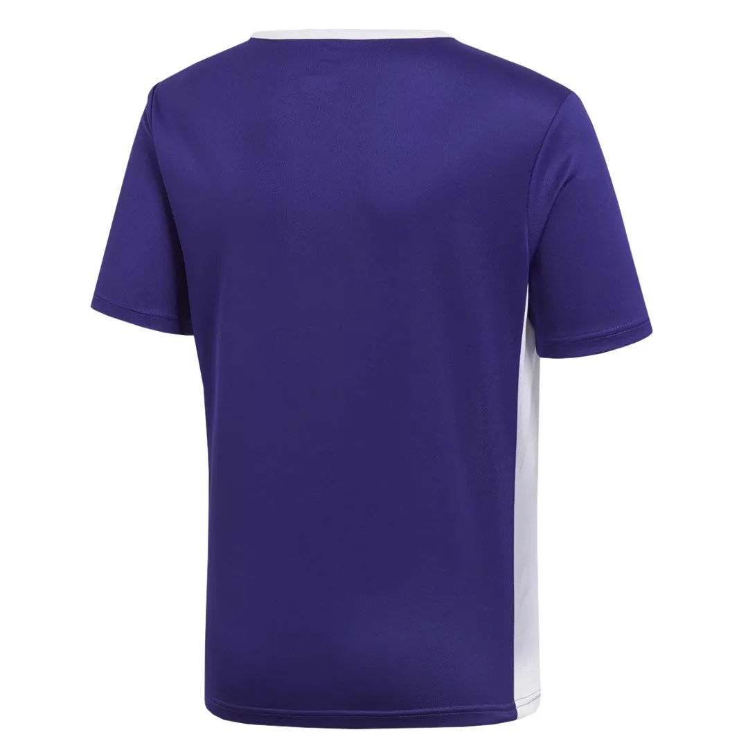 adidas - Kids' (Junior) Entrada Soccer Jersey (CF1042)