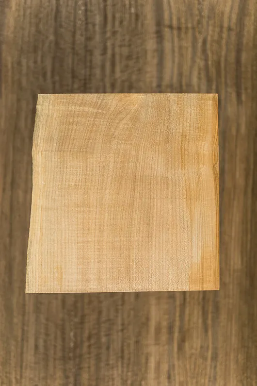 Big Leaf Maple Board B5496