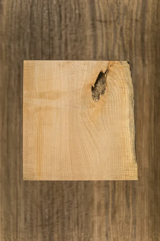 Big Leaf Maple Board B5496