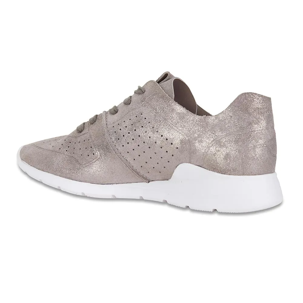 Bolt Sneaker in Pewter Suede