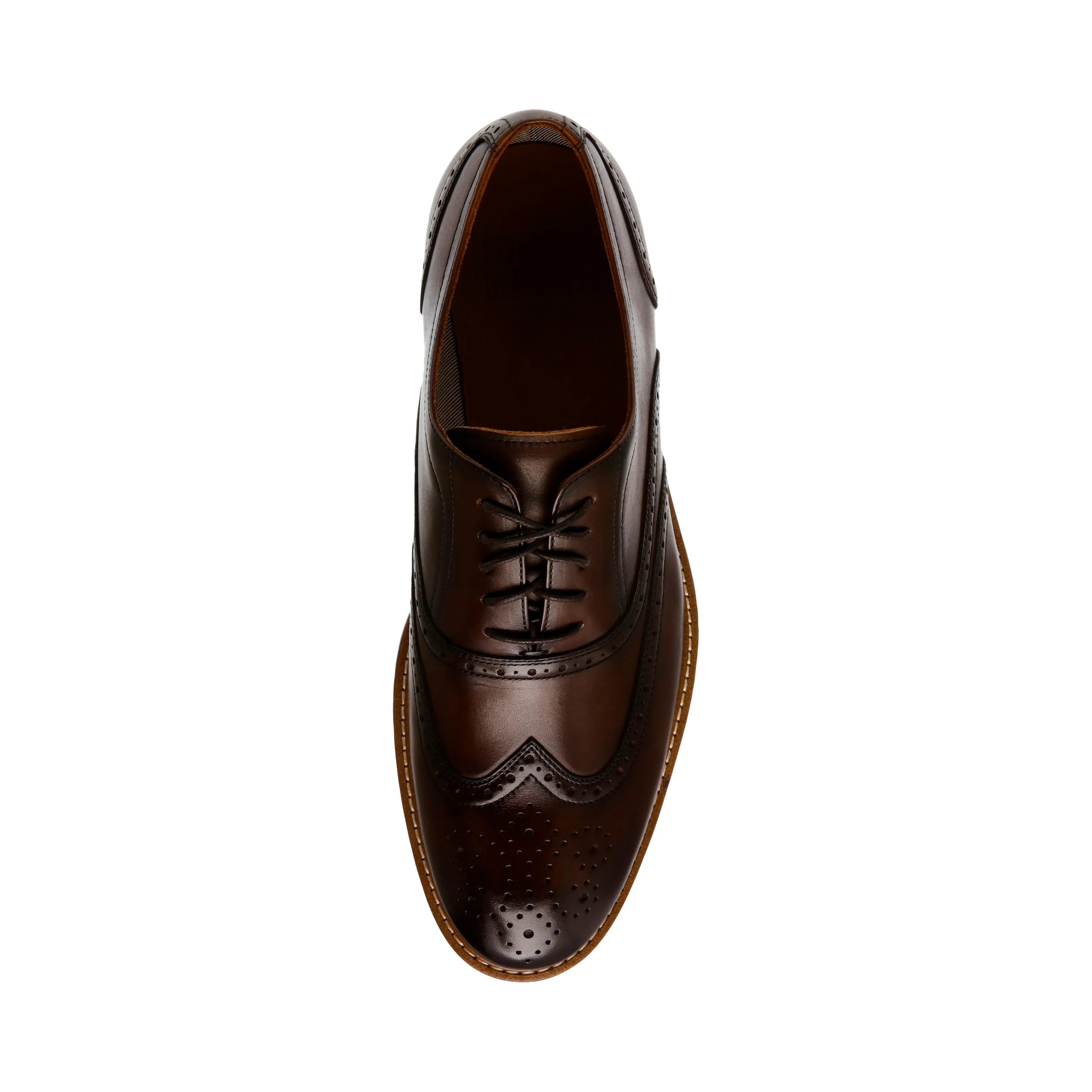 Chalton Lace-Up Shoes BROWN LEATHER